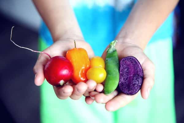 Les secrets pour choisir et conserver des aliments frais et savoureux