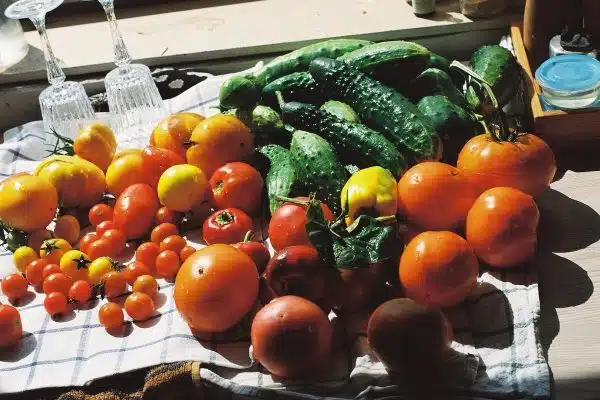 Découvrez les ingrédients frais et savoureux de la saison pour sublimer vos plats