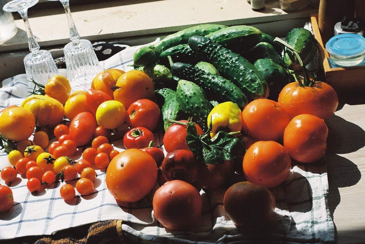 Découvrez les ingrédients frais et savoureux de la saison pour sublimer vos plats