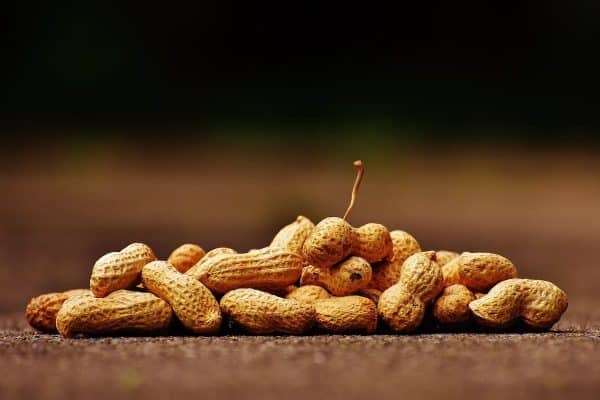 Cuisiner sans risques : Astuces pour les personnes avec allergies alimentaires