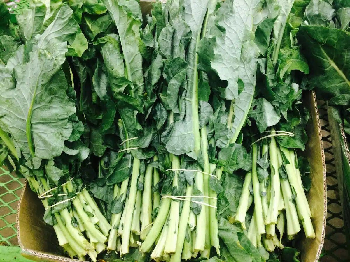 Découvrez les nombreux avantages des légumes verts pour une silhouette saine